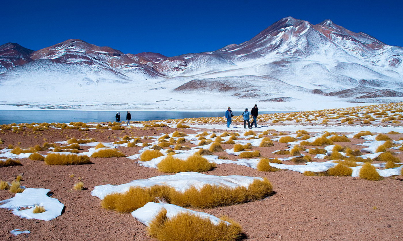 Chilean Altiplano highlands tour