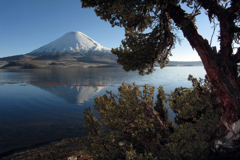 4D/3N Altiplano del Norte De Chile - Parque Sajama - La Paz Bolivia