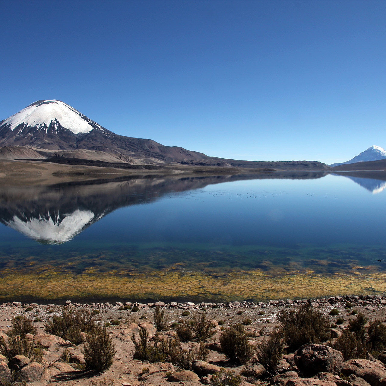 Expedition Through the Atacama Desert & Altiplano Tourism in Northern Chile