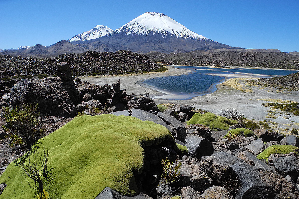 Turismo Mayuru Tour Parque Nacional Lauca Tours Norte de Chile