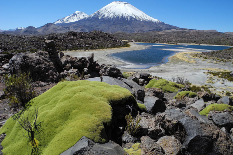 1D Putre, Parque Nacional Lauca, Putre