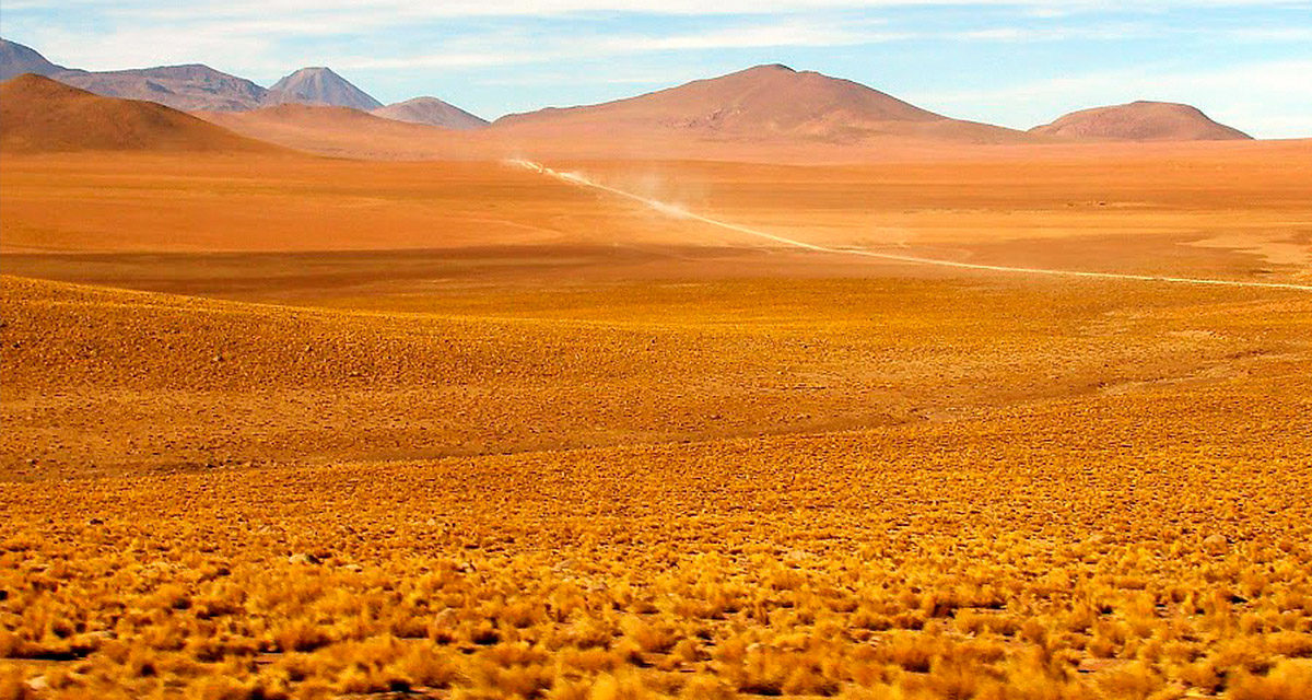 8D/7N Tour North of Chile & Chilean Altiplano