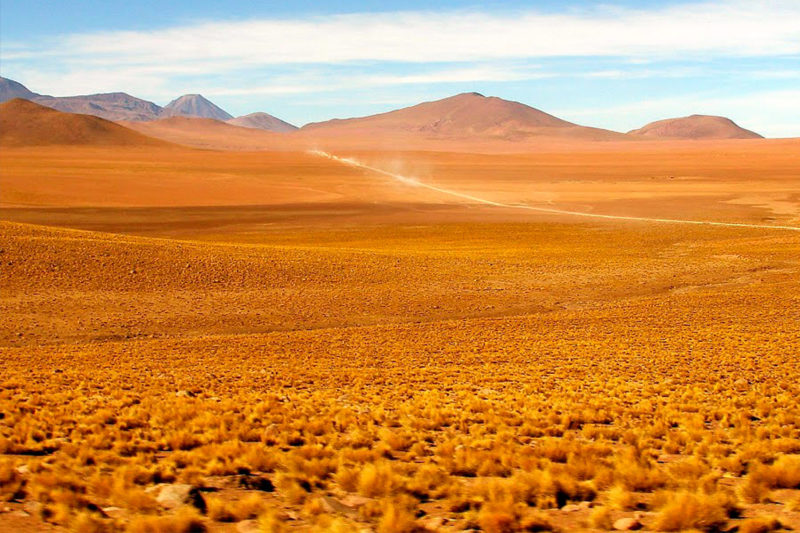8D/7N Tour Norte De Chile & Altiplano Chileno