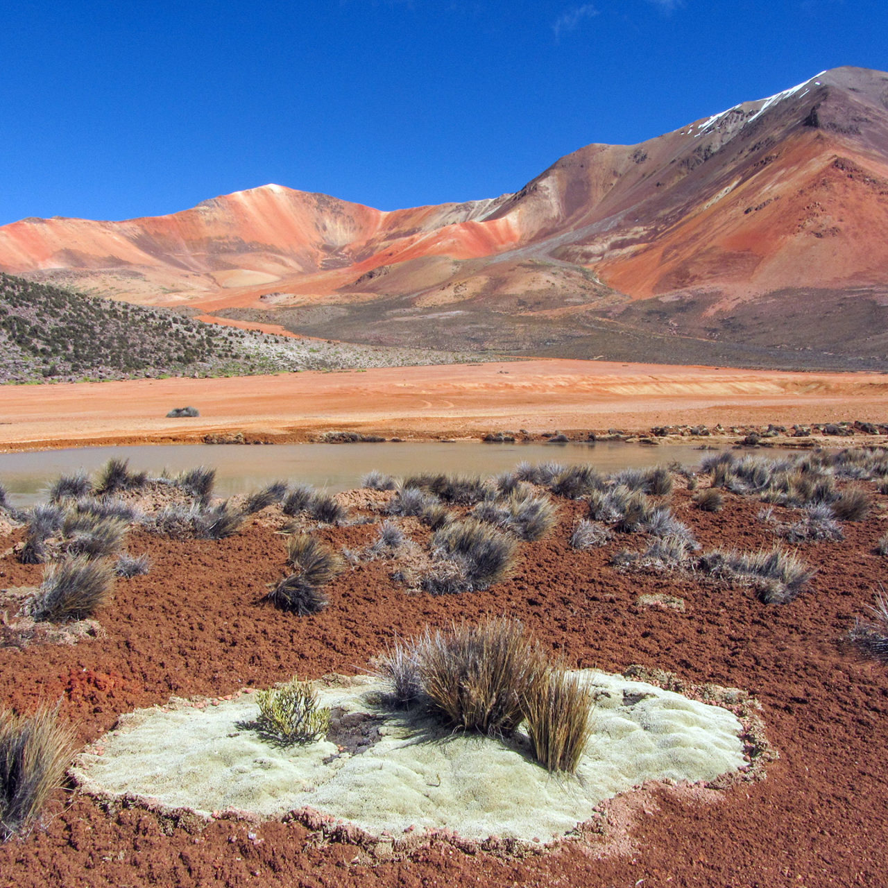 Mayuru Tours Altiplano Chileno y Desierto de Atacama Chile
