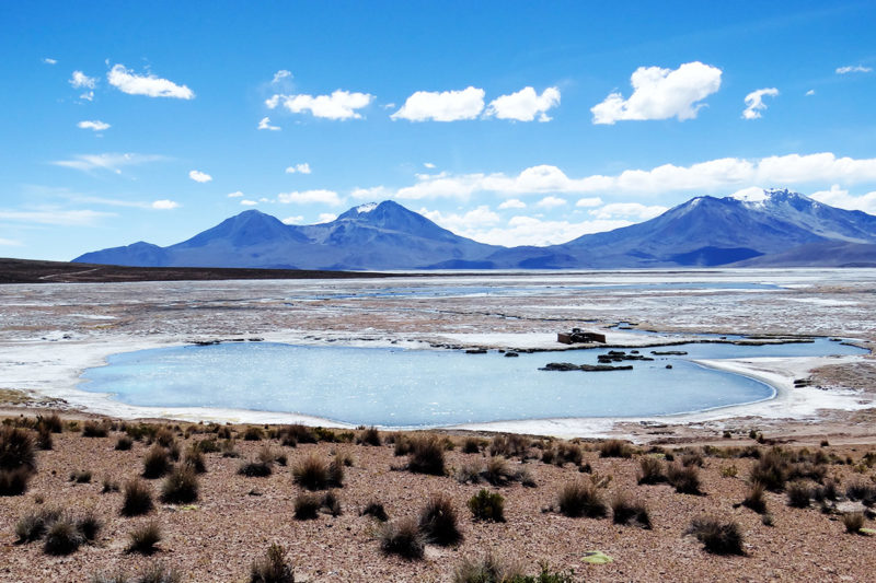 3D/2N Arica, Putre, Lauca, Chungara, Vicuña, Surire, Arica