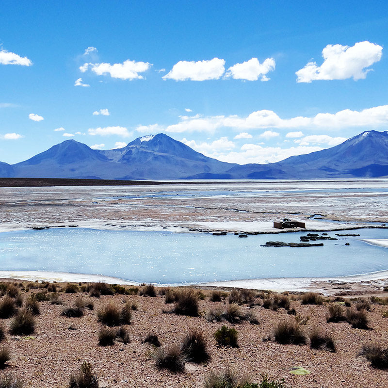 3D/2N Arica, Putre, Lauca, Chungara, Vicuña, Surire, Arica
