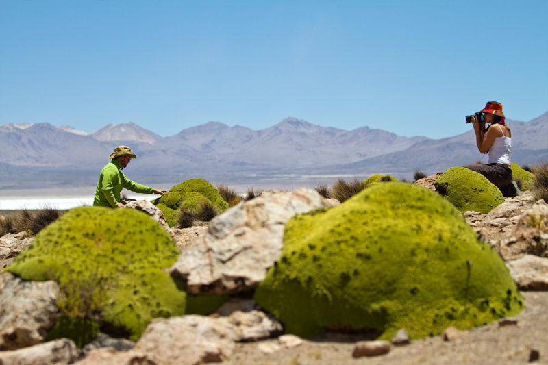 12D/11N Altiplano, Desierto, Chile & Bolivia