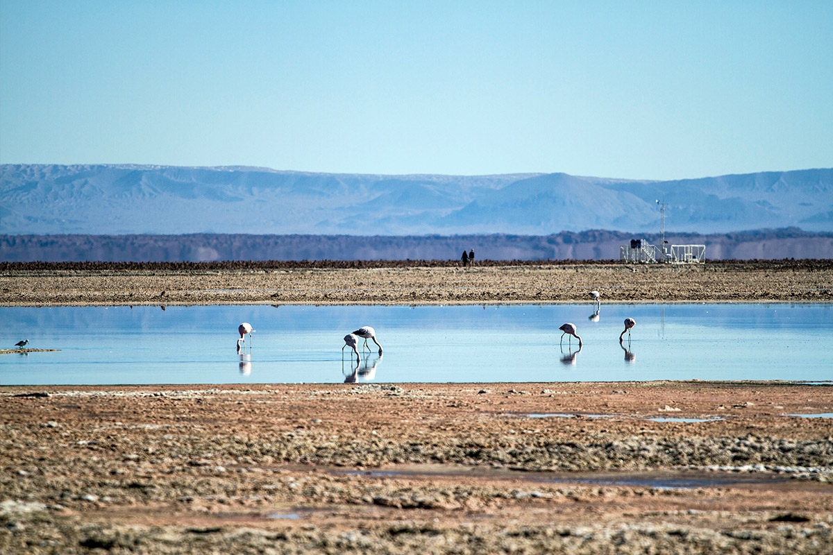 Mayuru Tours Atacama Chile