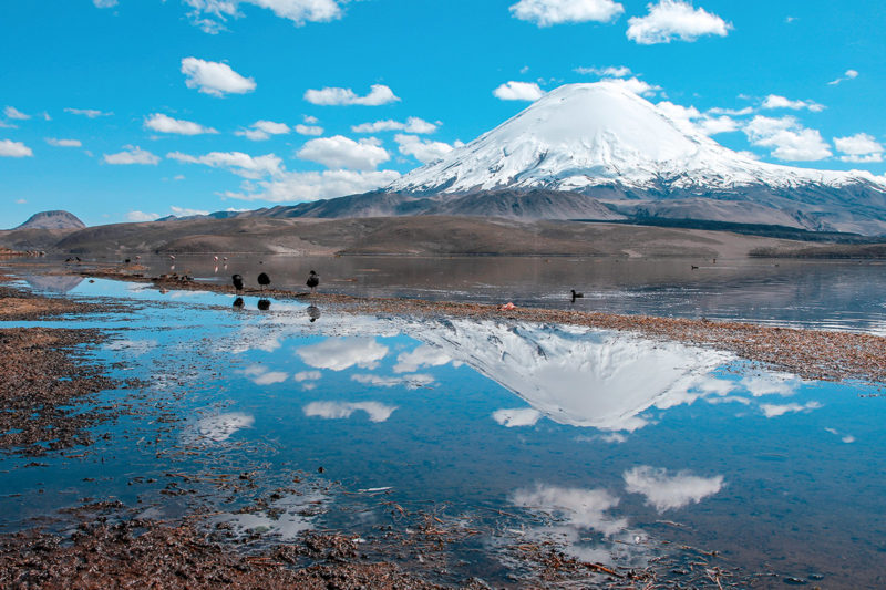 2D/1N Arica, Putre, Parque Nacional Lauca, Lago Chungará, Arica
