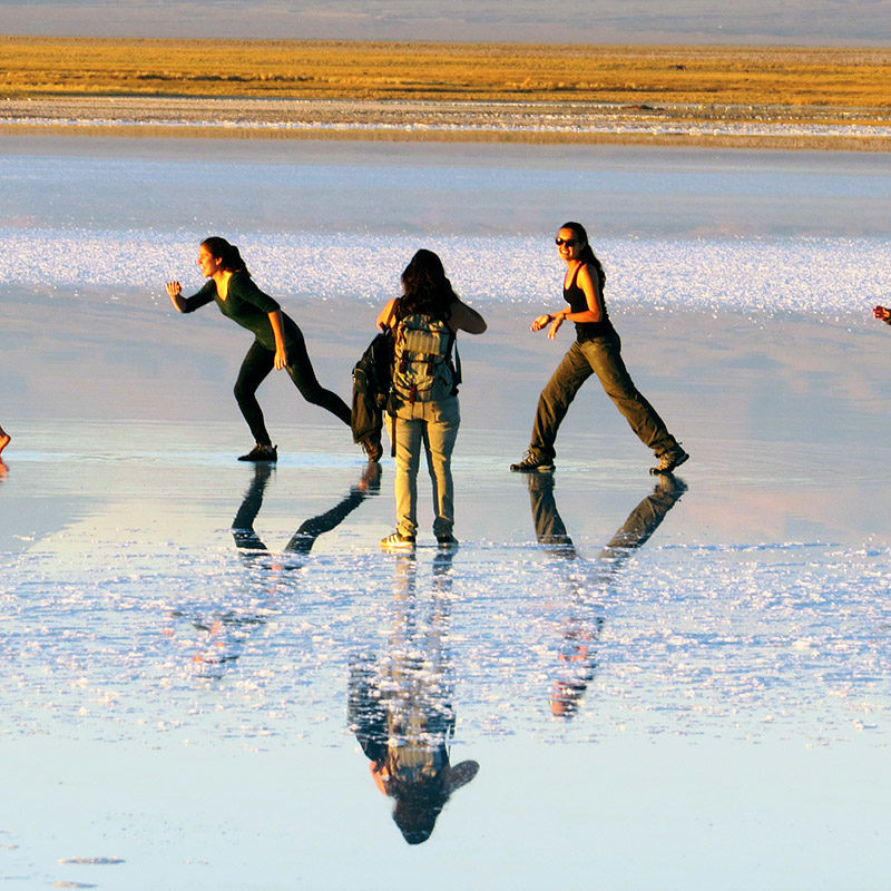 8G/7N Saline Cilene: Salar Di Surire, Huasco, Coposa, Atacama