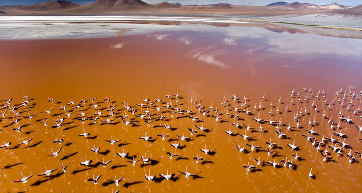 9G/8N Deserto di Atacama – Bolivia – Laguna Colorata – Salar di Uyuni – Salar de Surire – Parco Nazionale Lauca – Lago Chungara