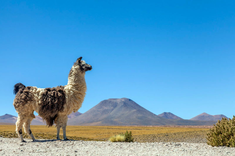 10D/9N Viaje a Chile, Desierto de Atacama