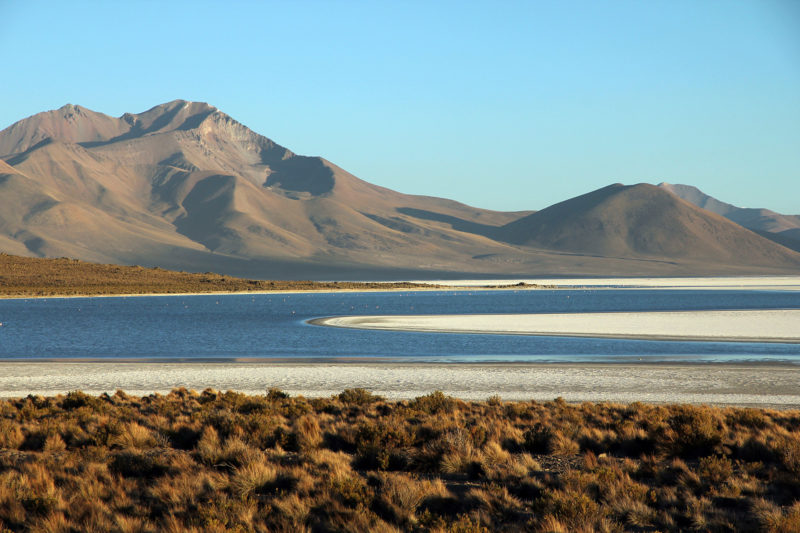 2D/1N Putre, Reserva Nacional Las Vicuñas, Salar De Surire, Pueblos Andinos, Colchane, Cariquima, Iquique