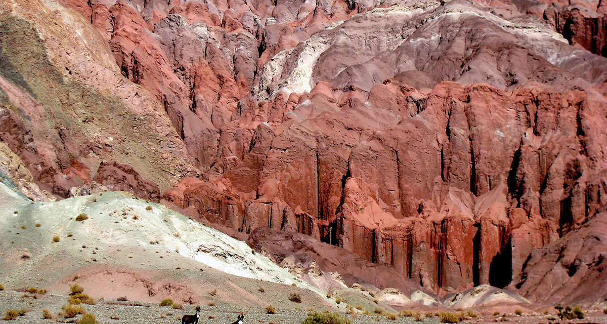 8D/7N Desert Adventure Atacama
