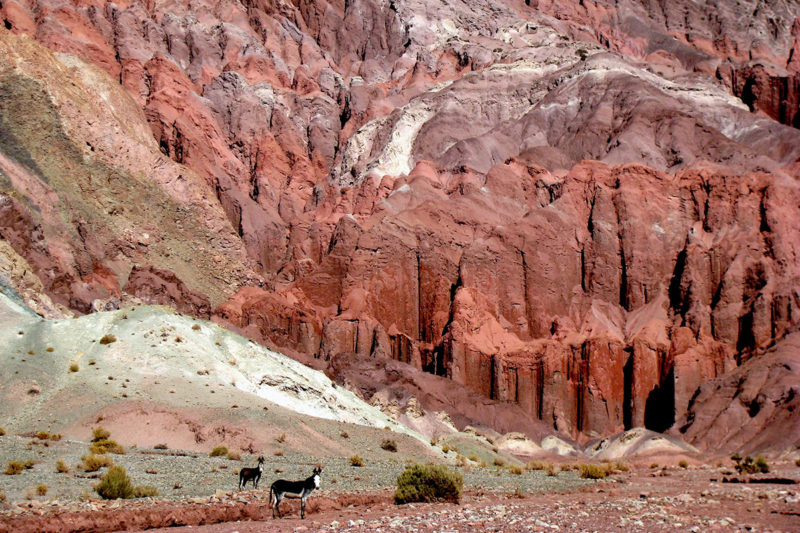 8D/7N Aventura por el Desierto de Atacama