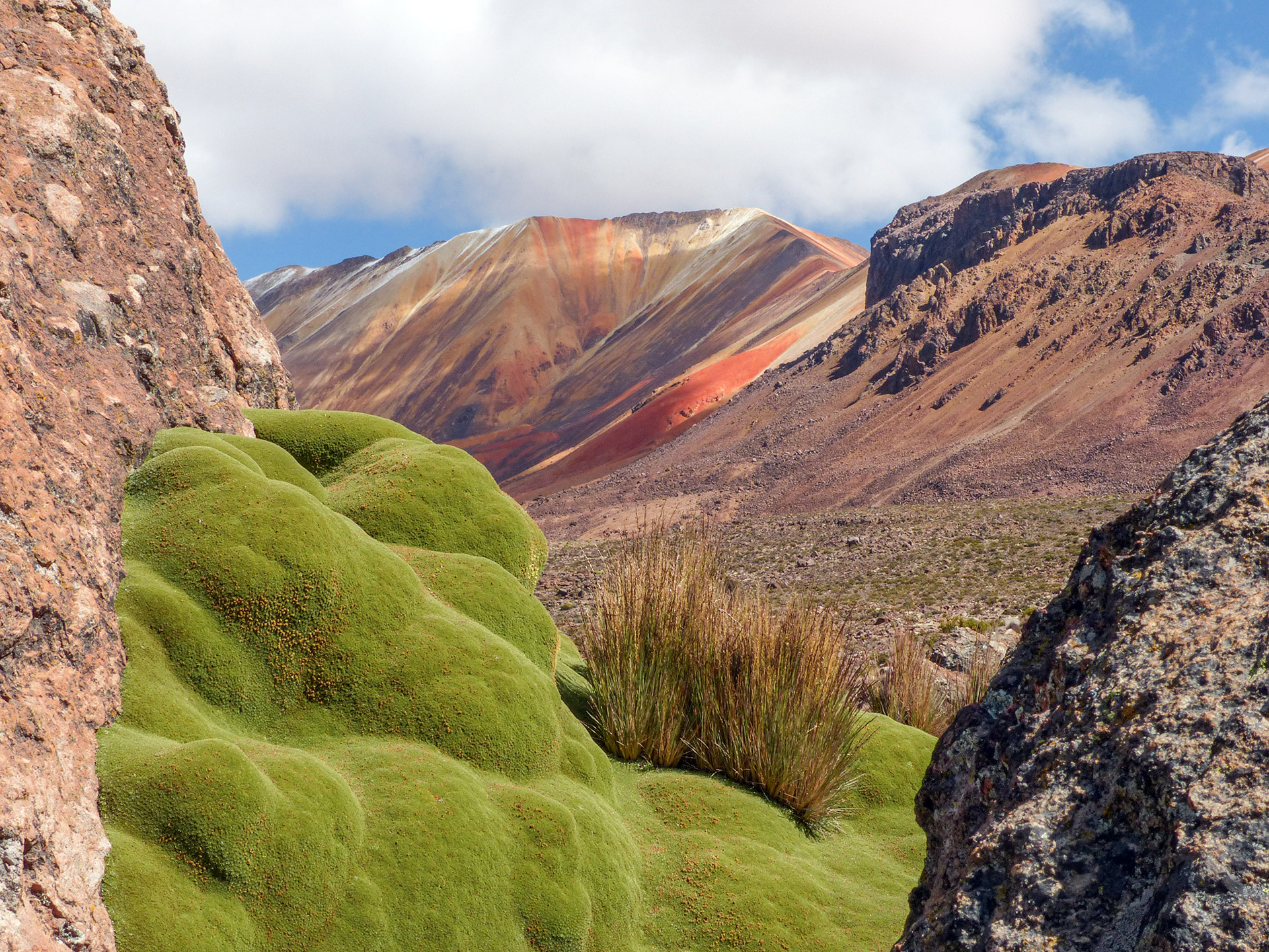 Agencia de Viajes y Turismo Maturu Tours Norte de Chile