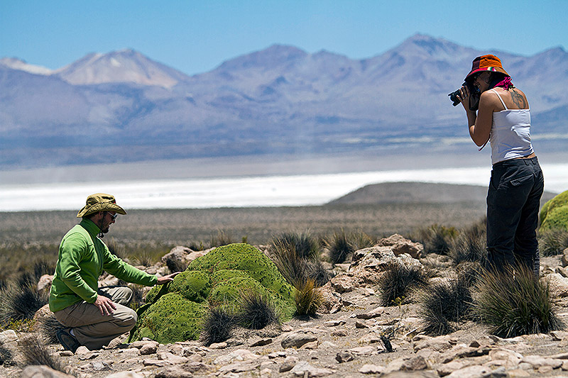 Mayuru Tour - Agencia de Viajes y Turismo del Norte de Chile