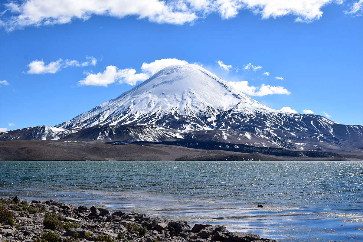 3D/2N Chungara Border (Tambo Quemado) – National Park Lauca – Parinacota – Lake Chungara – National Reserve Vicuñas – Salt Lake Surire – Highland Villages – Arica