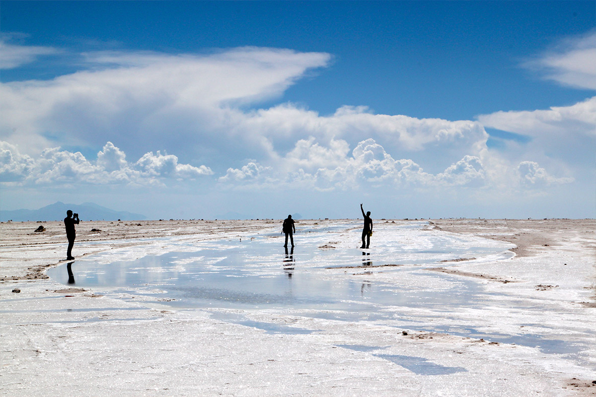 3D/2N Chungara Border (Tambo Quemado) – National Park Lauca – Parinacota – Lake Chungara – National Reserve Vicuñas – Salt Lake Surire – Highland Villages – Arica