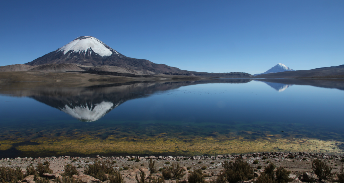 Ecoturismo y diversidad en el Norte de Chile
