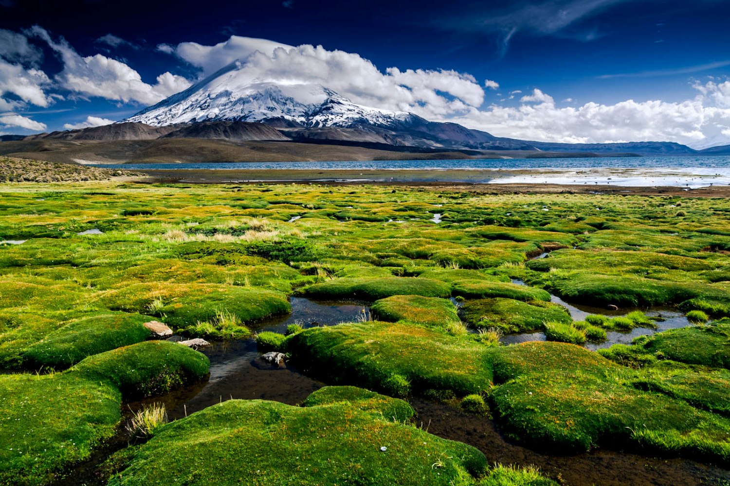 lago chungara