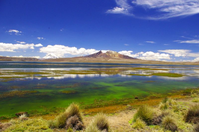 Lago Chungará, el lago más alto del mundo