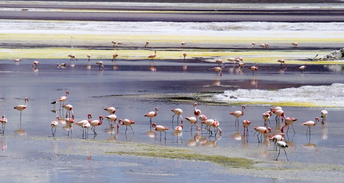 Turismo en el Altiplano de Chile, lugares de encanto