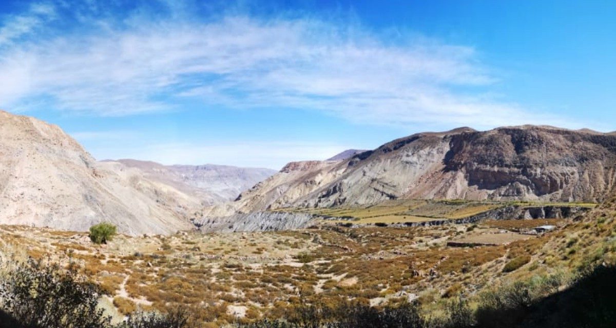 Tours en Chile: Pinturas Rupestres de Vilacaurani