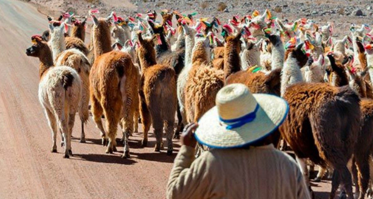 El Kunza, la lengua del pueblo atacameño