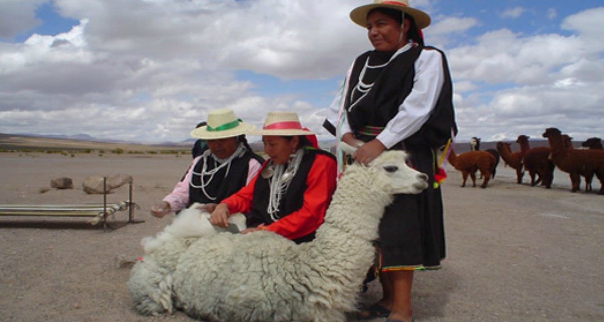 Pueblos Originarios de Chile, Atacameños