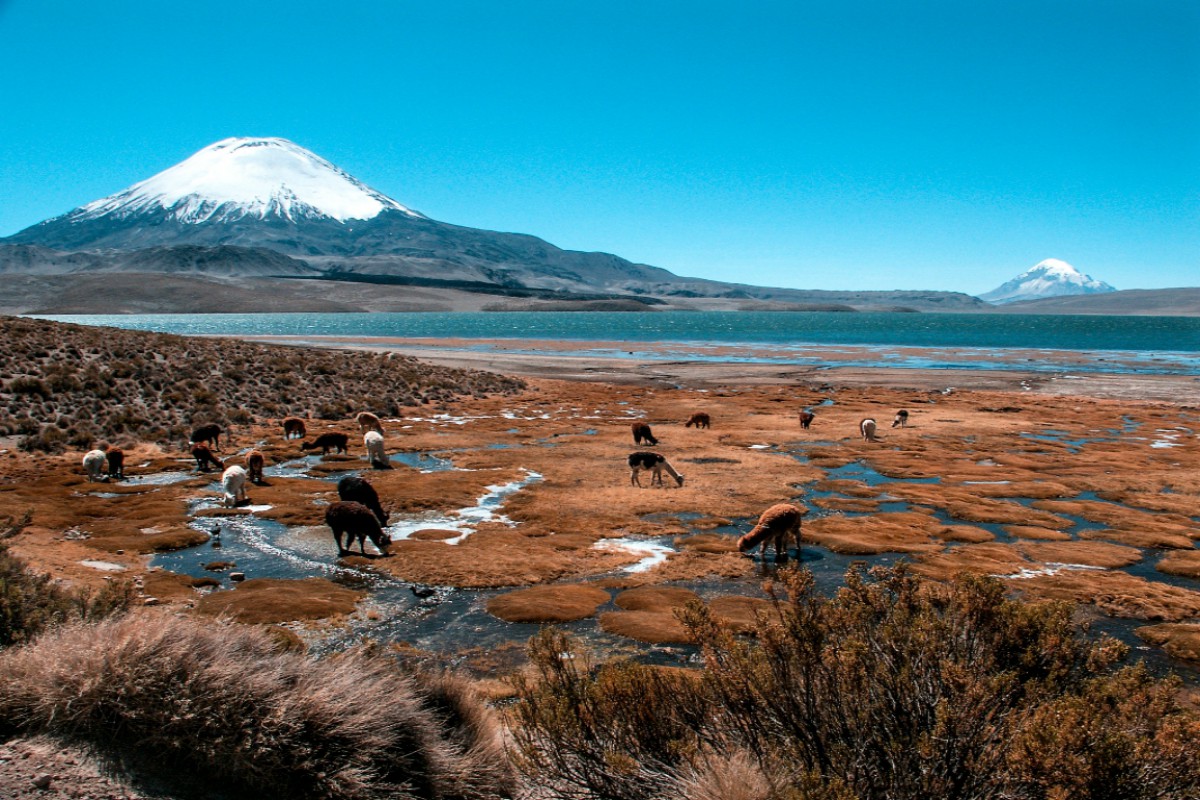 Parque Nacional Lauca, Norte de Chile