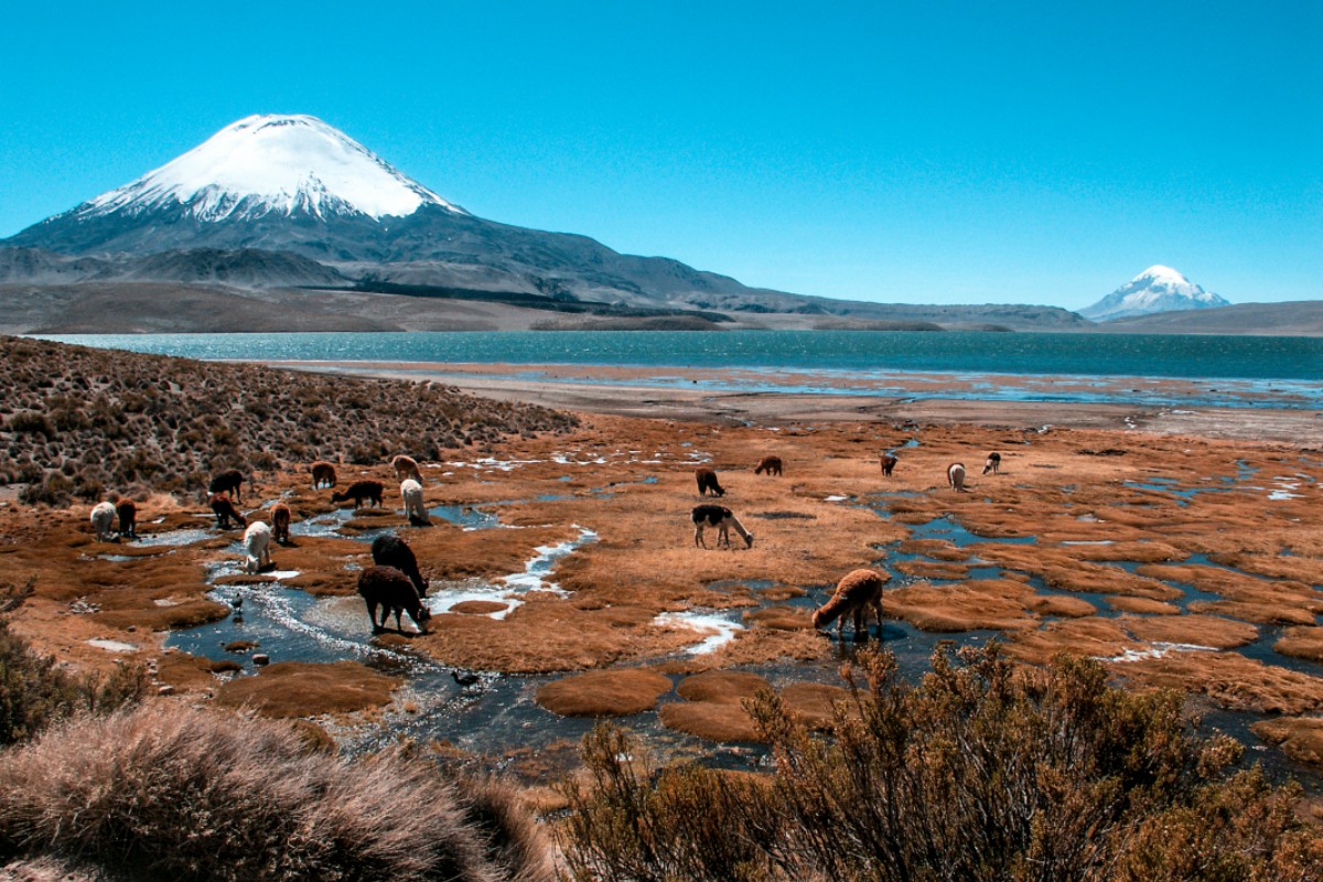 parque-lauca