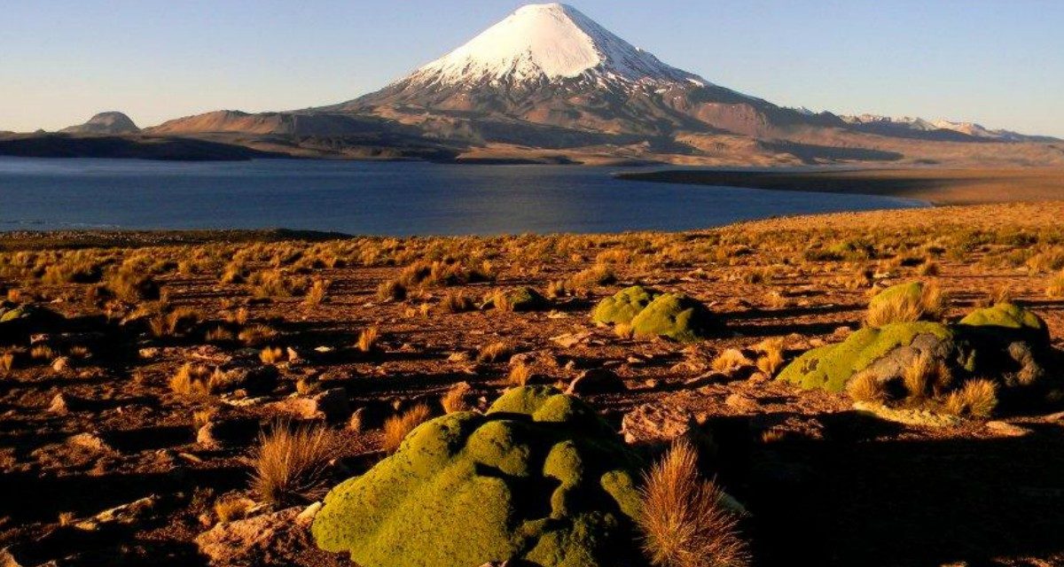 Lago Chungará, de los más altos del mundo