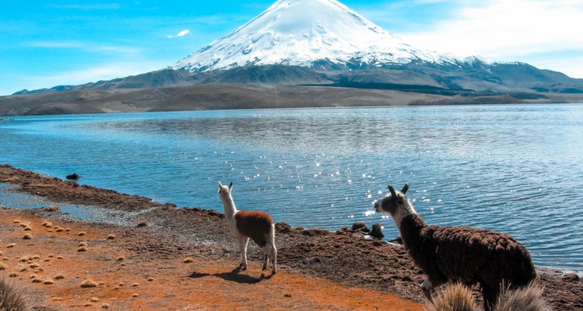 Tours Norte de Chile