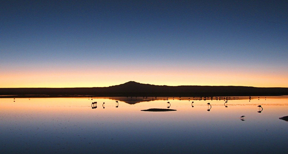 Visite y Conozca San Pedro de Atacama, Norte Chileno