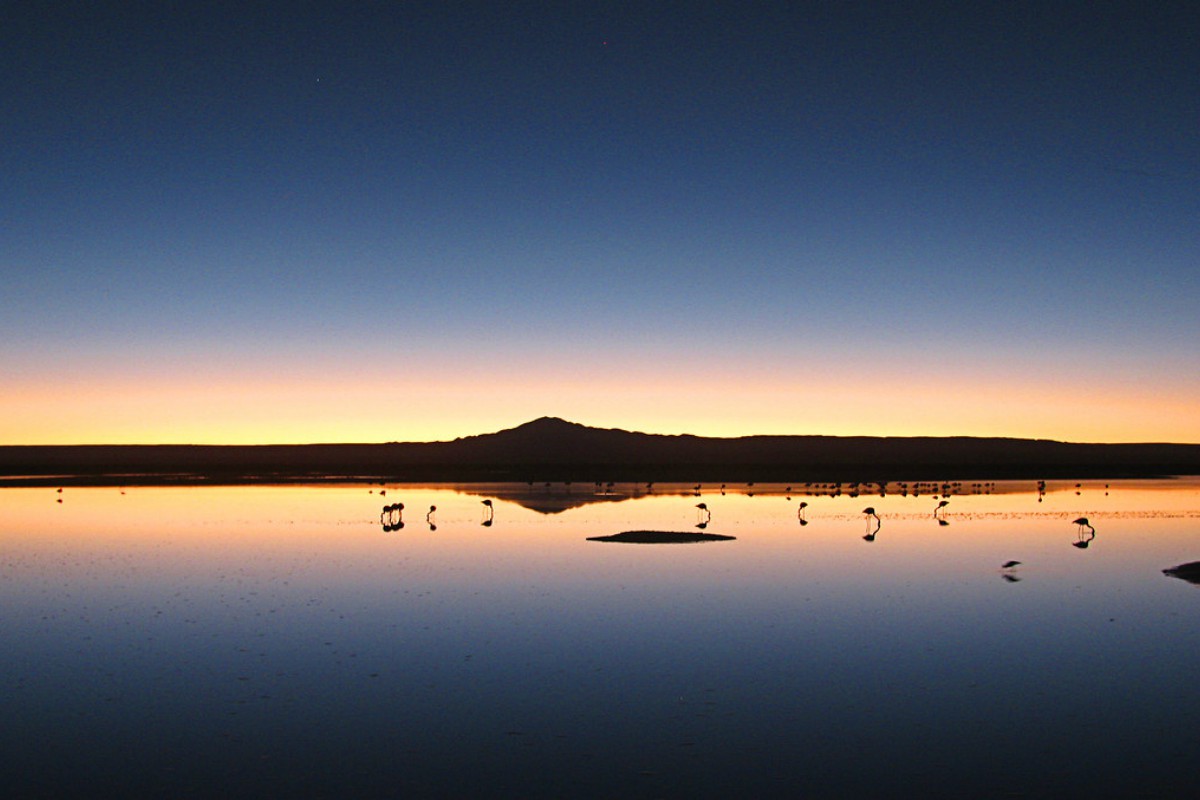 Reserva Nacional Los Flamencos, San Pedro de Atacama