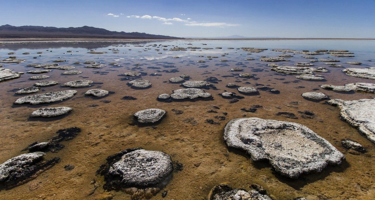 Norte de Chile, un paisaje único en Latinoamérica