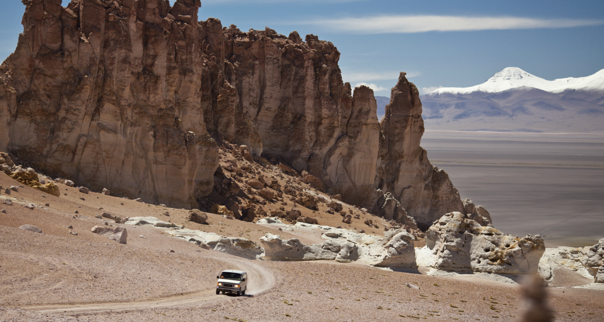 Reserva Nacional Los Flamencos, Desierto de Atacama