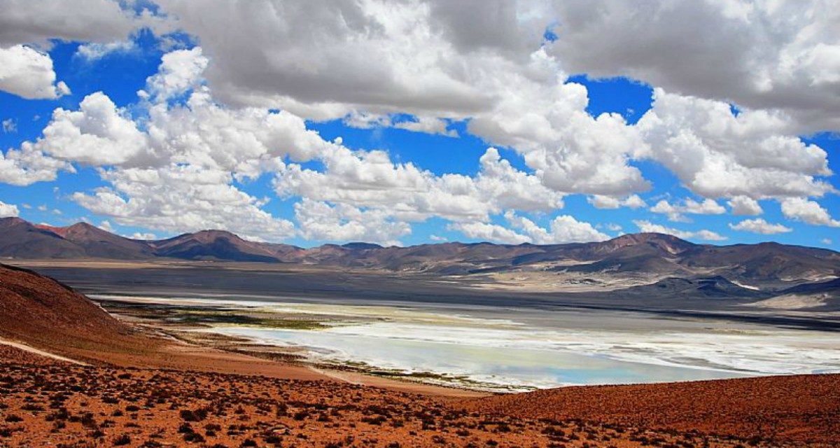 Turismo en Chile: Salar del Huasco