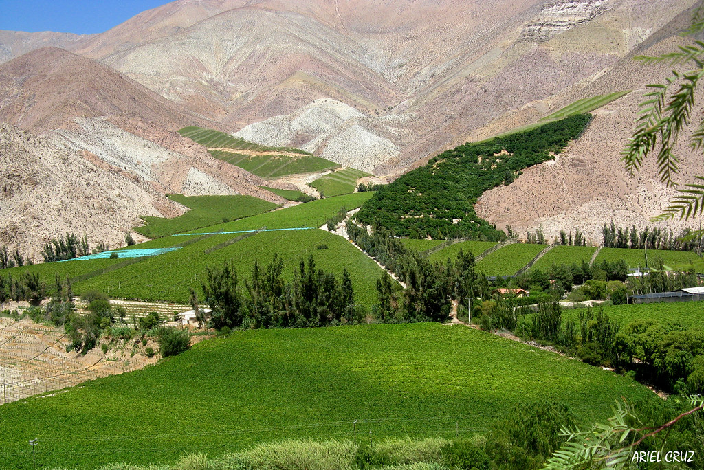 valle-del-elqui