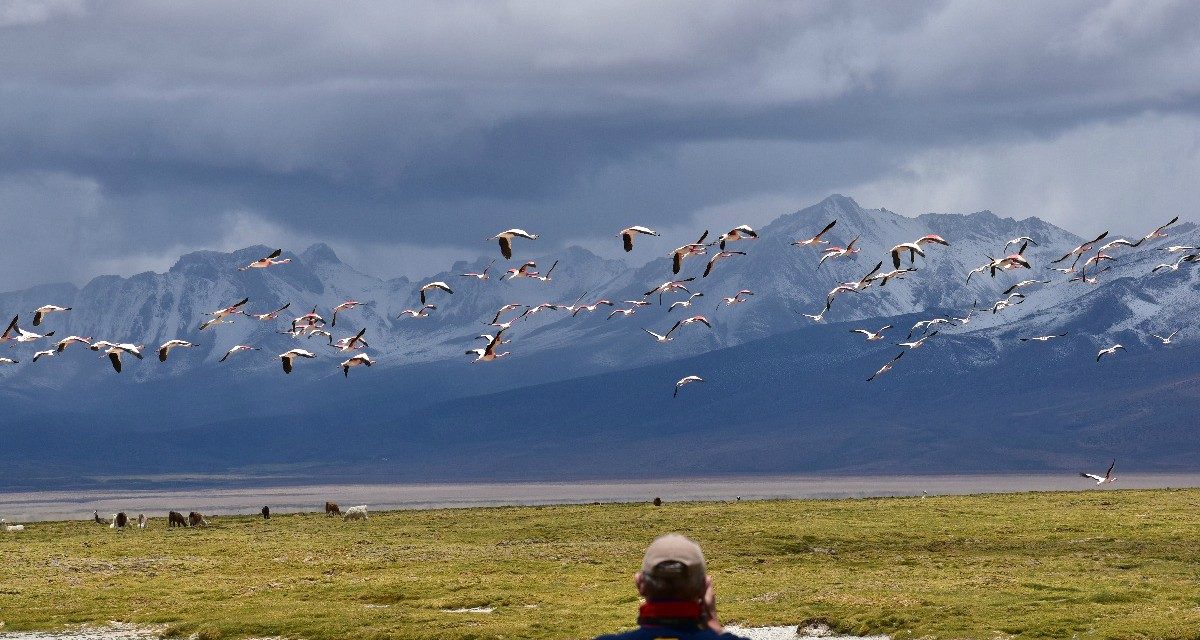 Norte Grande de Chile. La zona más árida del país