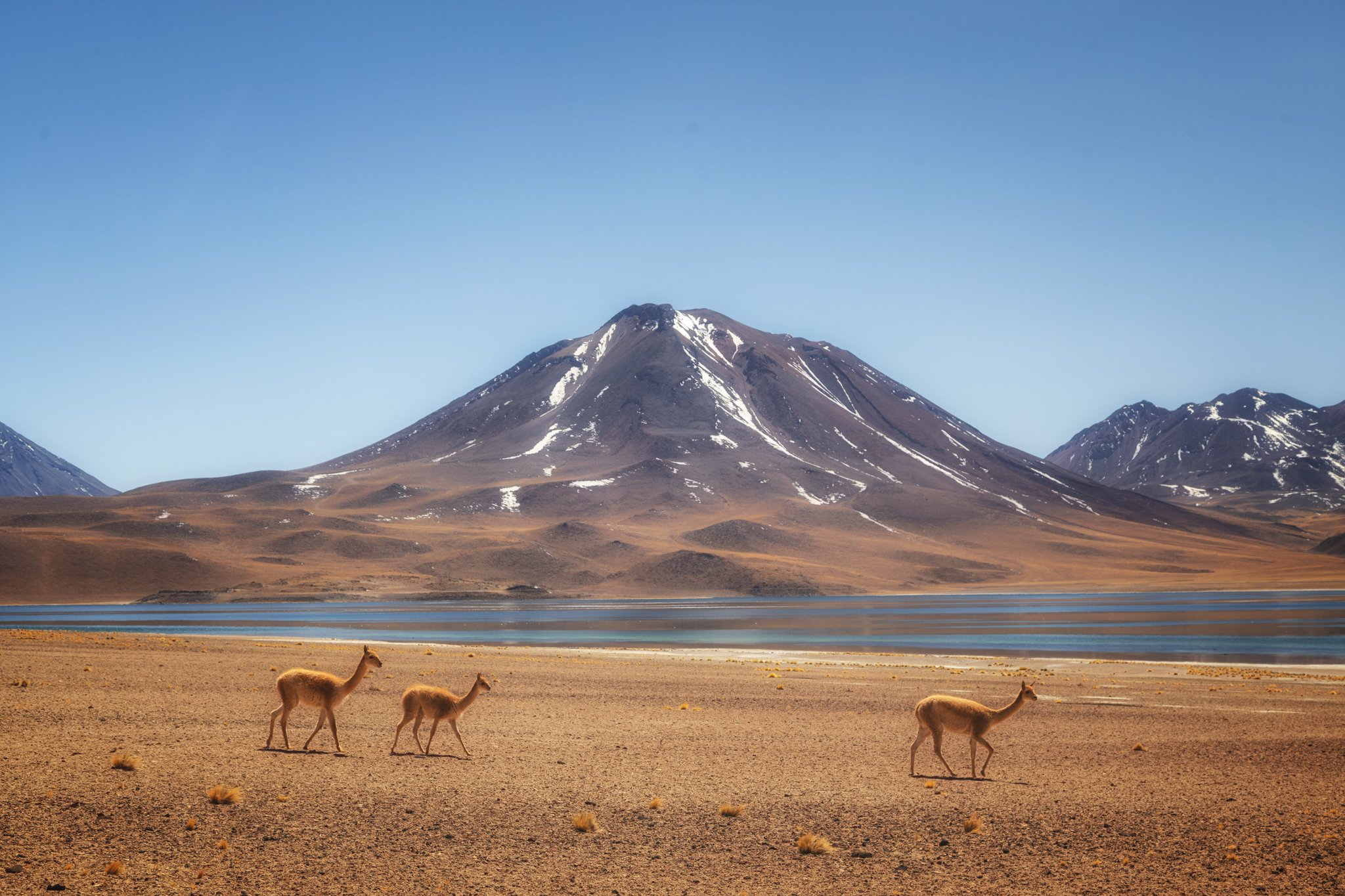 desierto atacama paisaje 3